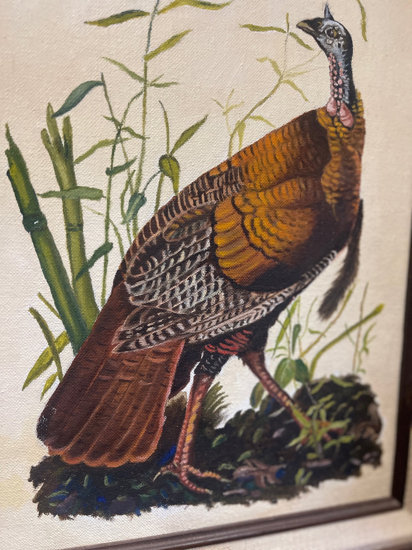 Original Painting of the 1949 Audubon Wild Turkey, Vintage, Artist Unknown