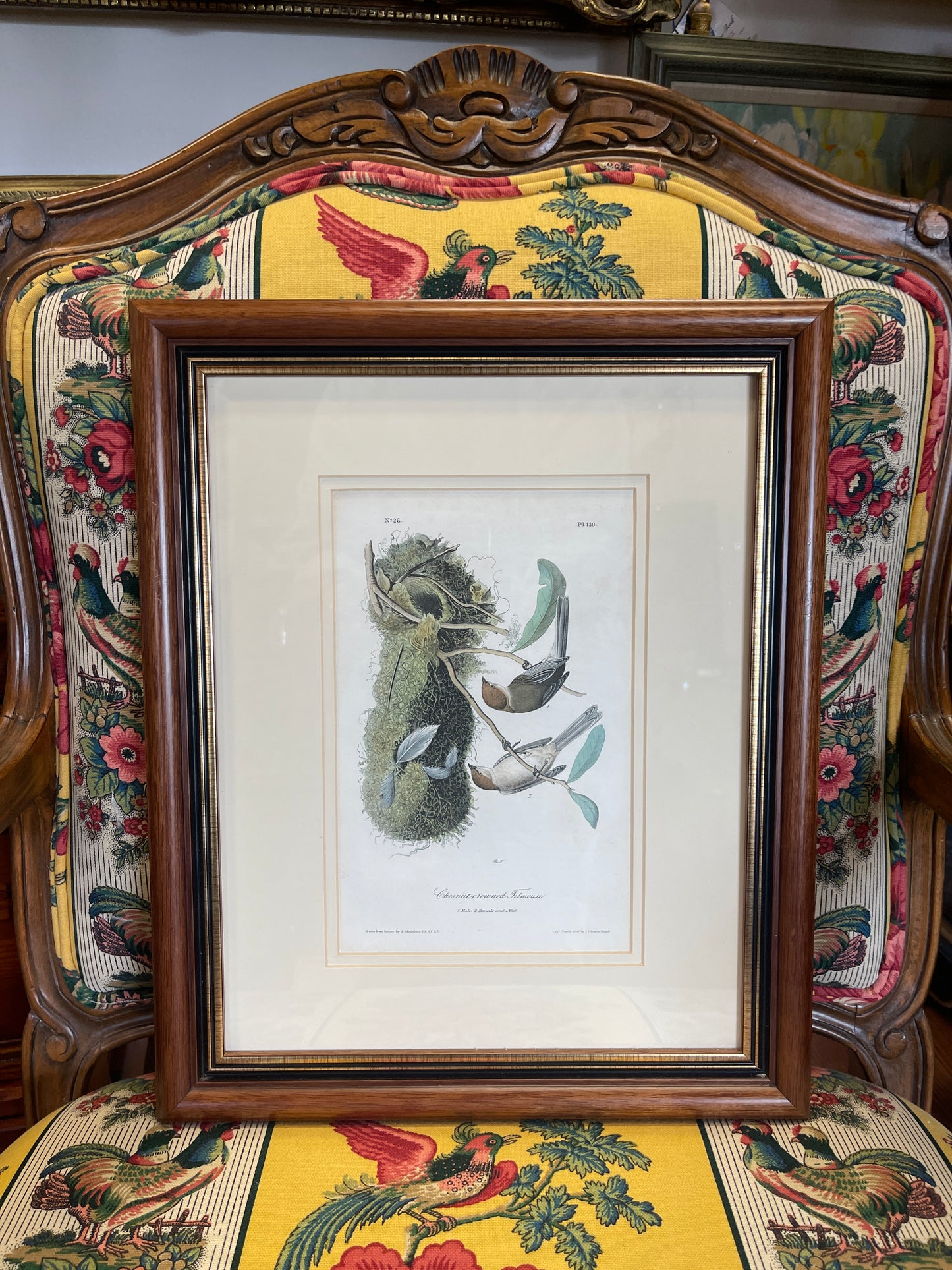 Pair of Authentic John James Audubon Bird Prints – Octavo Edition, 1840–1844 – Hand-Colored Lithographs with Original Text Leaves