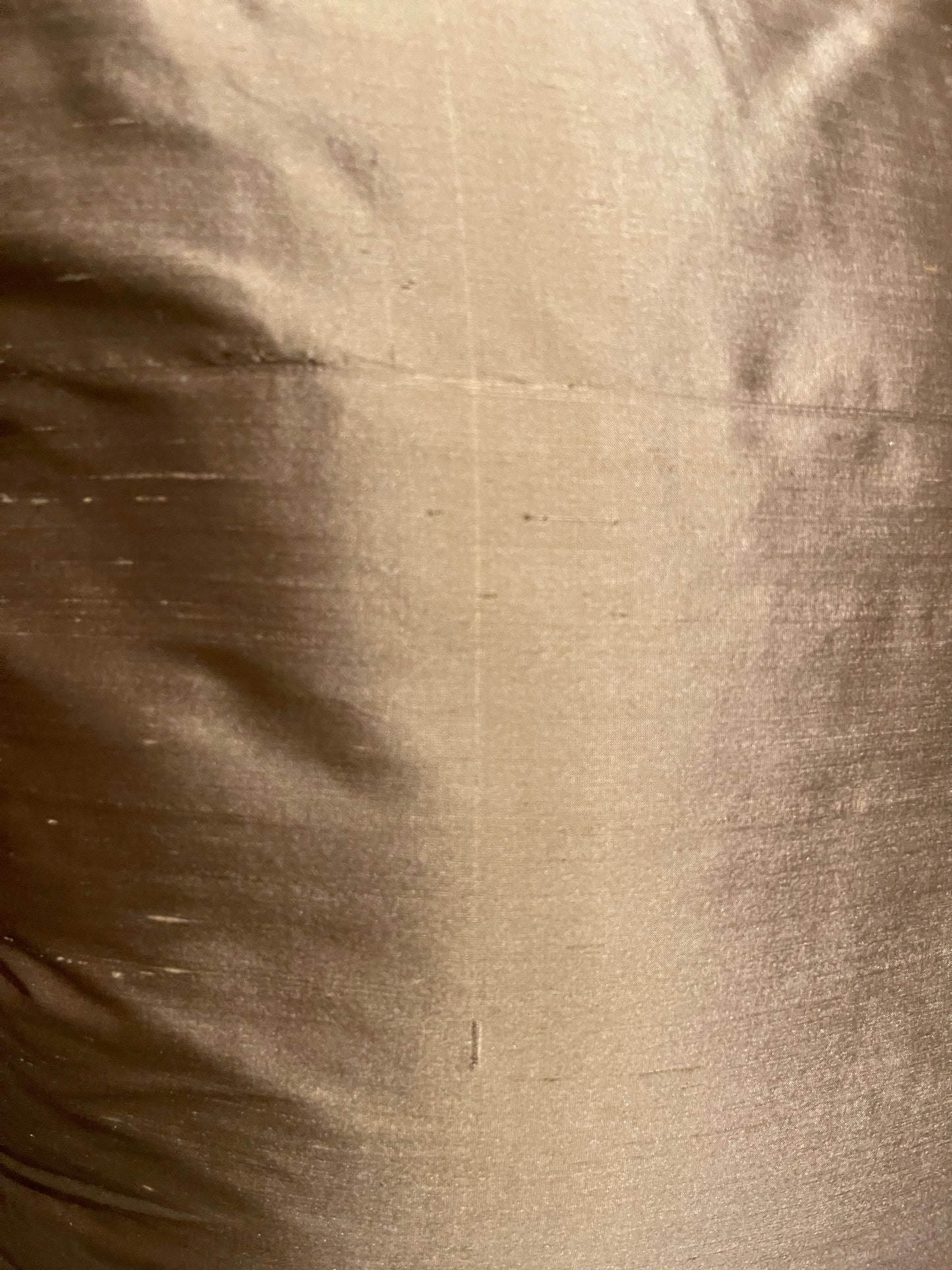 19th Century French Aubusson Tapestry Pillow – Monkey & Lion (?) Allegory, Shunting Silk Backing