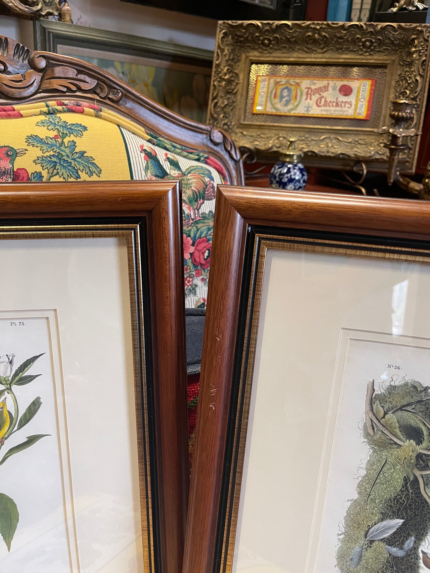 Pair of Authentic John James Audubon Bird Prints – Octavo Edition, 1840–1844 – Hand-Colored Lithographs with Original Text Leaves