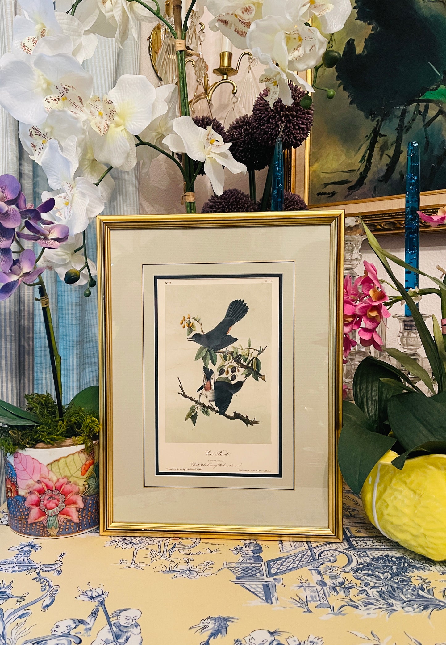 Antique 1856 Cat Bird Audubon Lithograph Book Plate, Second Octavo Edition John James Audubon Birds of North America, Actual Page from 2nd Edition Published in 1856.