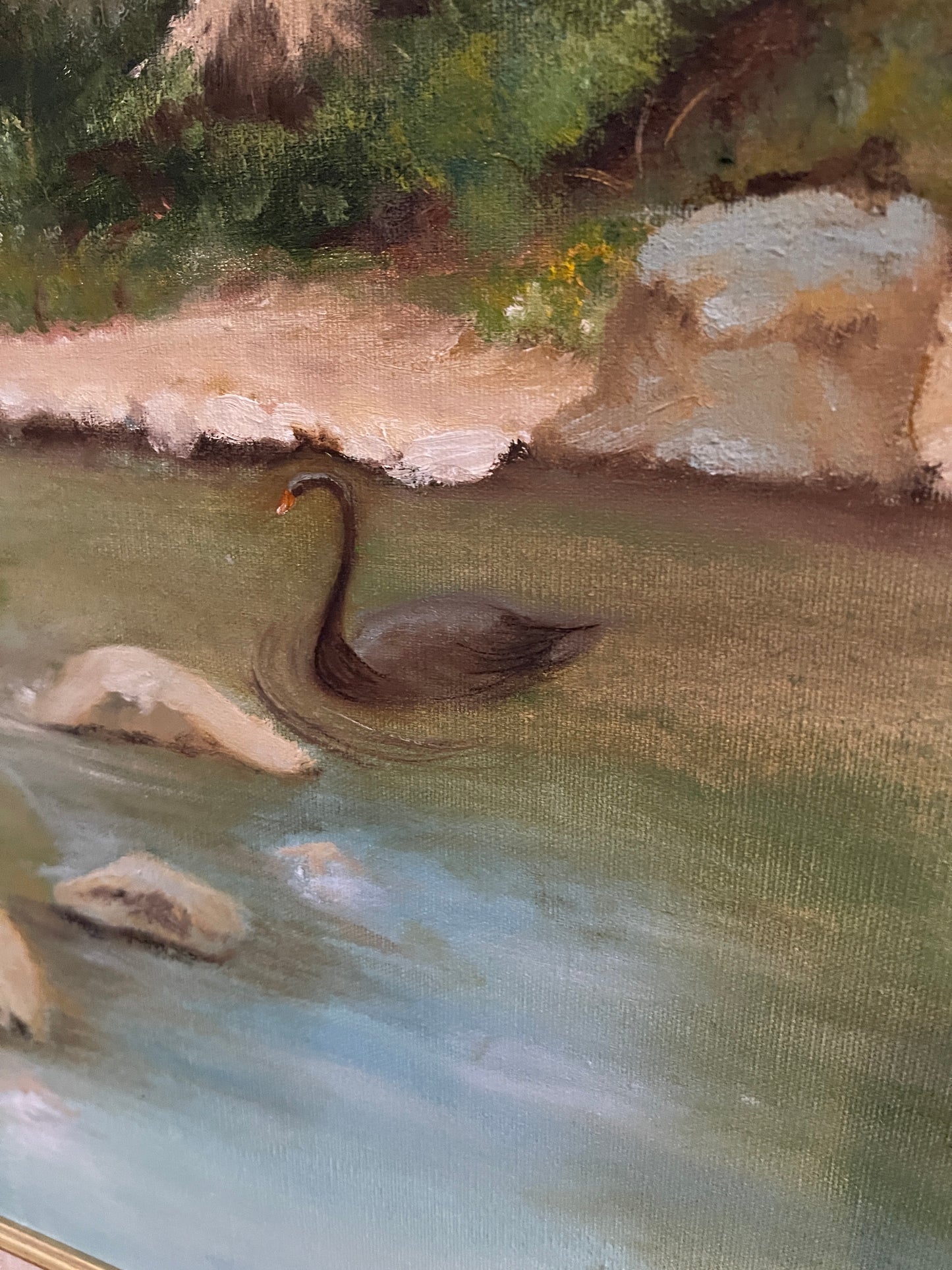 Black Swan Painting Set in Maui, Original Painting, Signed and Framed