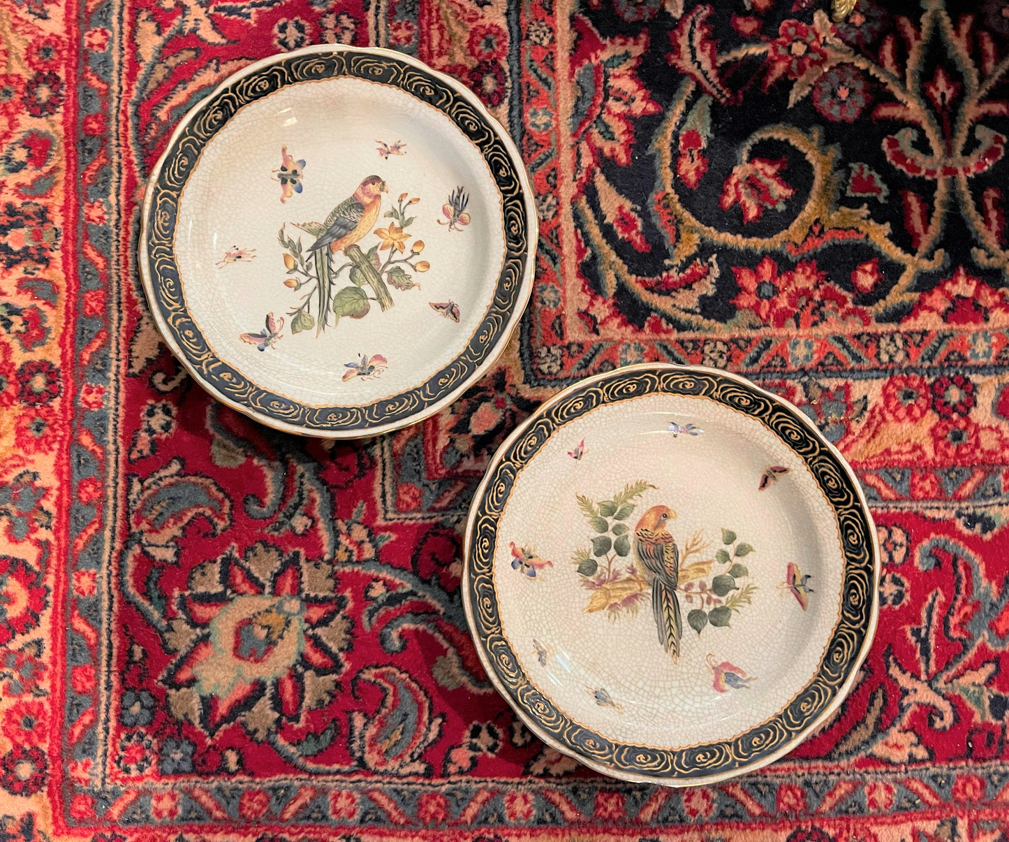 Vintage Yellow Chested Parrot Hua Ping Tang Zhi Crackled Plate with a Vibrant Feathers