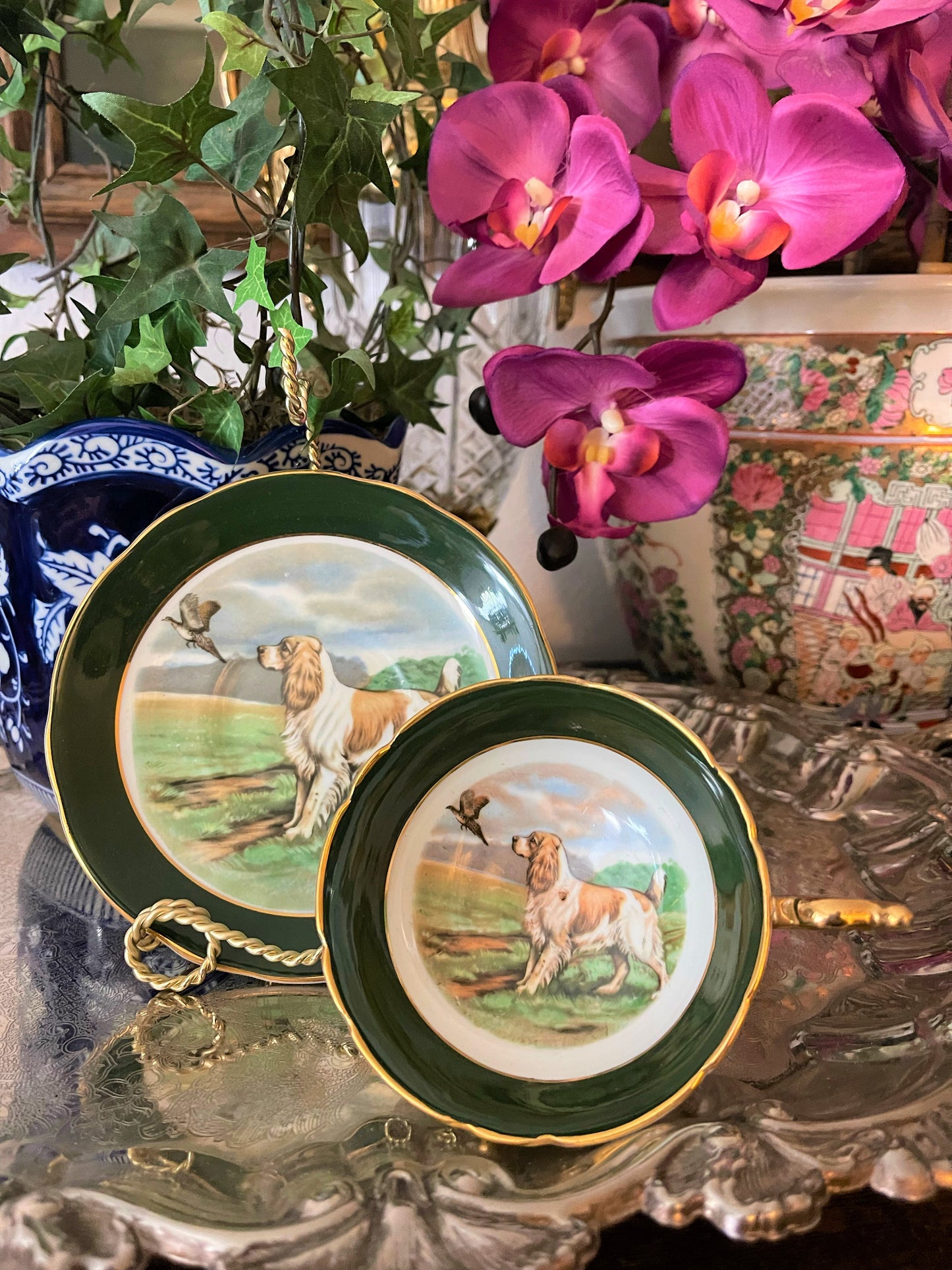 Spaniel Teacup and Saucer Set by Regency, Vintage, Made in England, Bone China