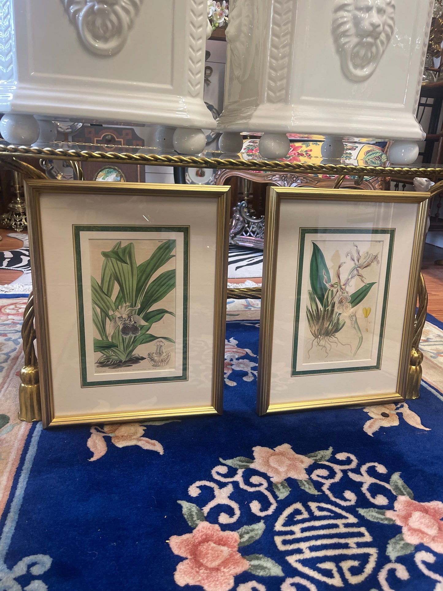 Antique Orchid Lithographs by Walter Hood Fitch – Original 1839 Botanical Book Plates, Pair