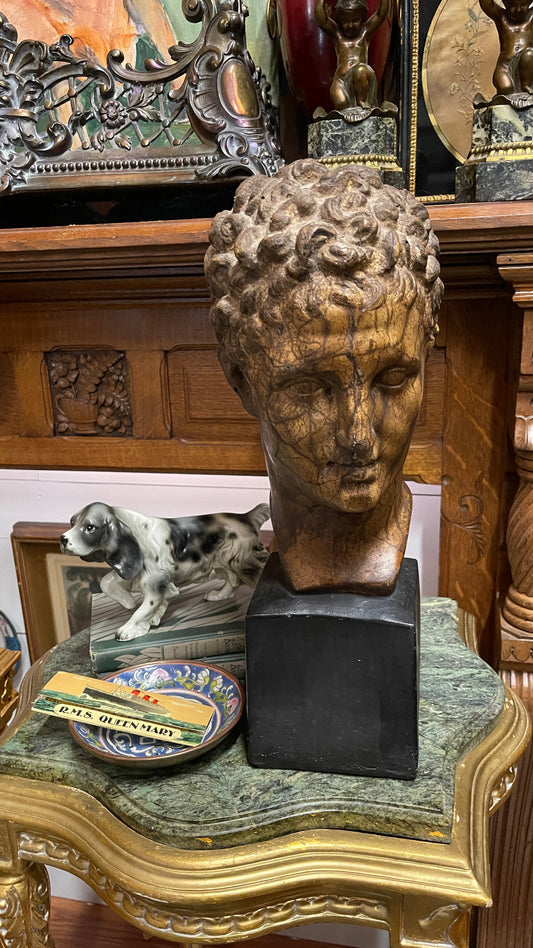 VINTAGE CLASSICAL APOLLO-STYLE PLASTER BUST