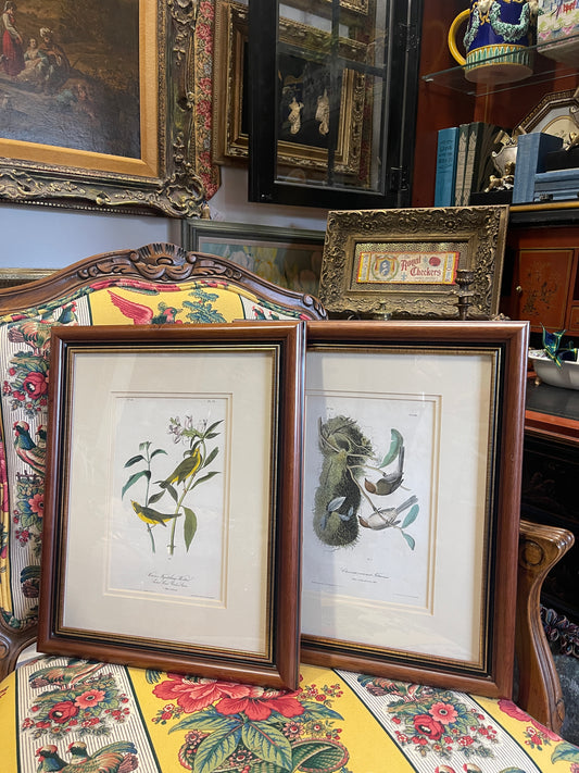 Pair of Authentic John James Audubon Bird Prints – Octavo Edition, 1840–1844 – Hand-Colored Lithographs with Original Text Leaves