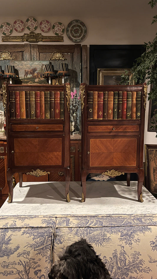 Pair of French Louis XV Style Leather Faux Book Front Bedside Cabinets | Ormolu Mounted Mahogany & Parquetry Side Tables