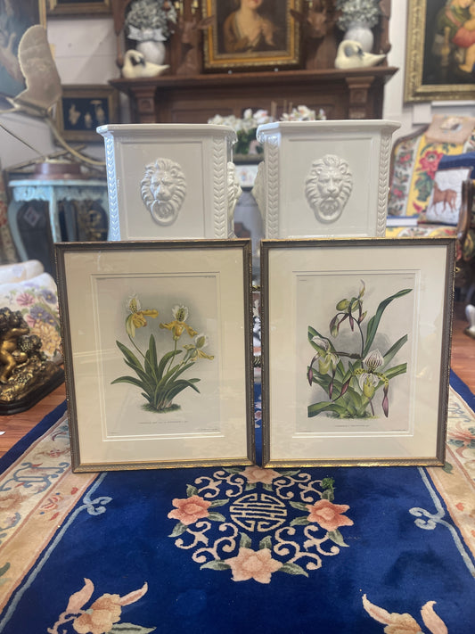 Pair of Antique Lindenia Orchid Botanical Lithographs – c.1885–1901 Victorian Chromolithographs